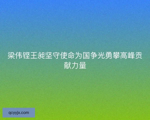 梁伟铿王昶坚守使命为国争光勇攀高峰贡献力量